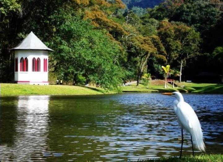 Pedra Do Imperador Apartment โนวาฟริบูร์โก ภายนอก รูปภาพ